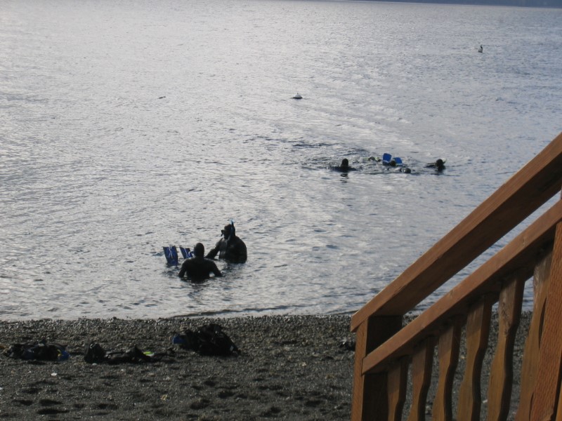 ../Images/OW102206 007.jpg